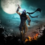 忍者龙剑传3中文版，直接玩